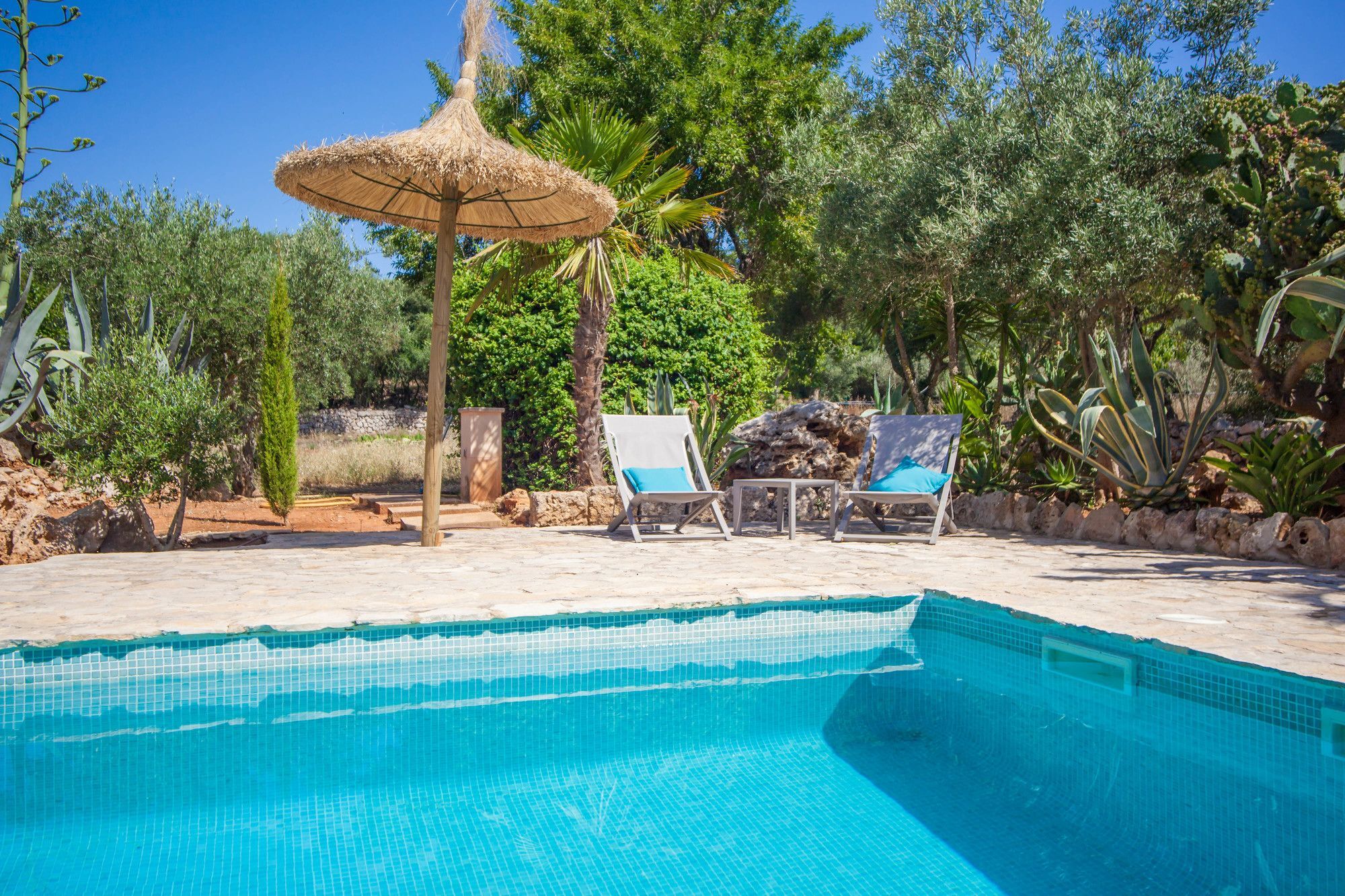 Eco Groc Costitx (Mallorca)