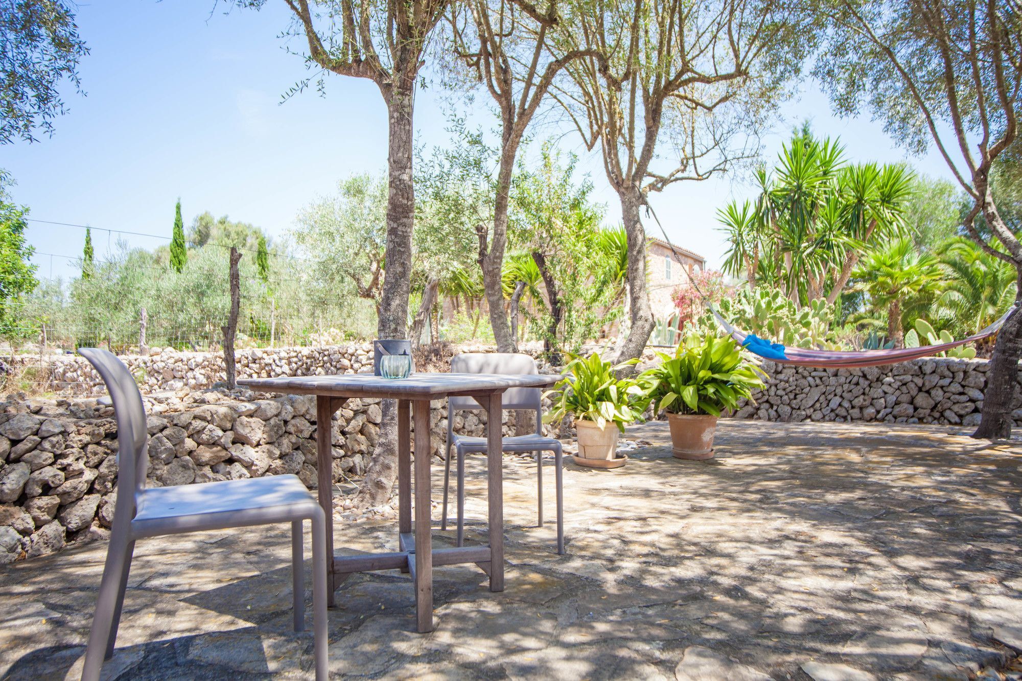 Eco Groc Costitx (Mallorca)